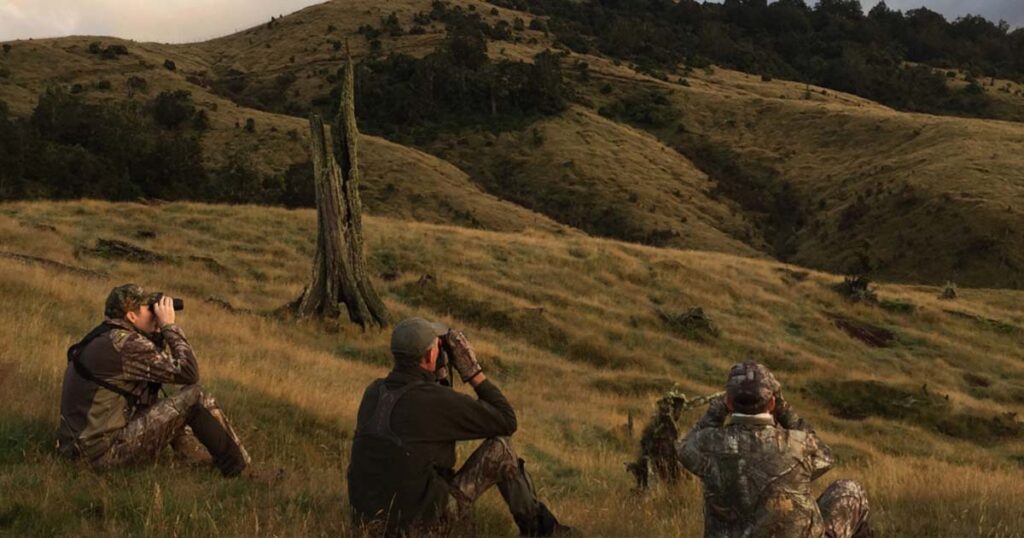 Trophy shipping for Hunting Outfitters